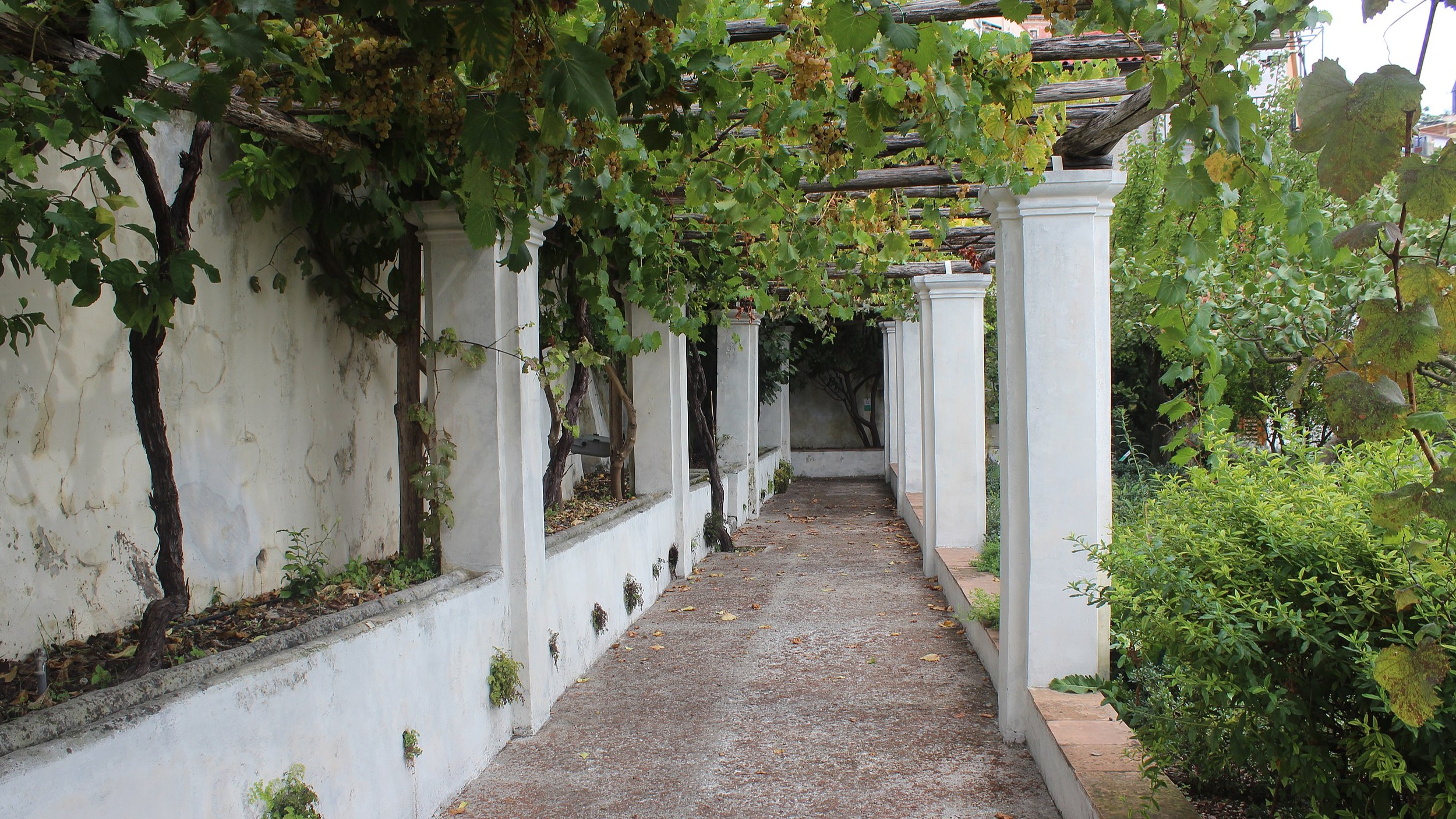 Giardino Della Minerva Salerno