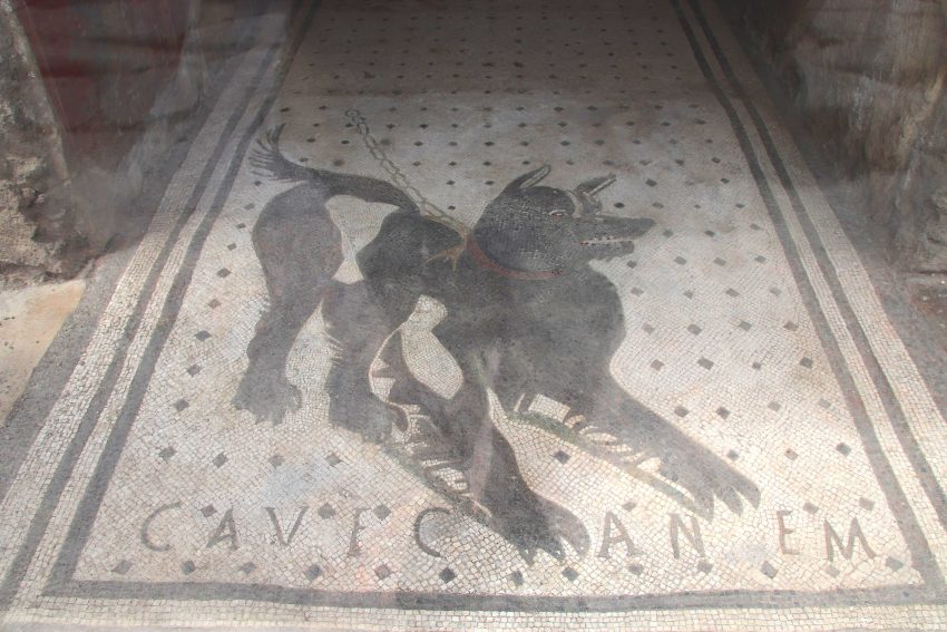 Pompeii Ruins Mosaic Dog at House of the Tragic Poet