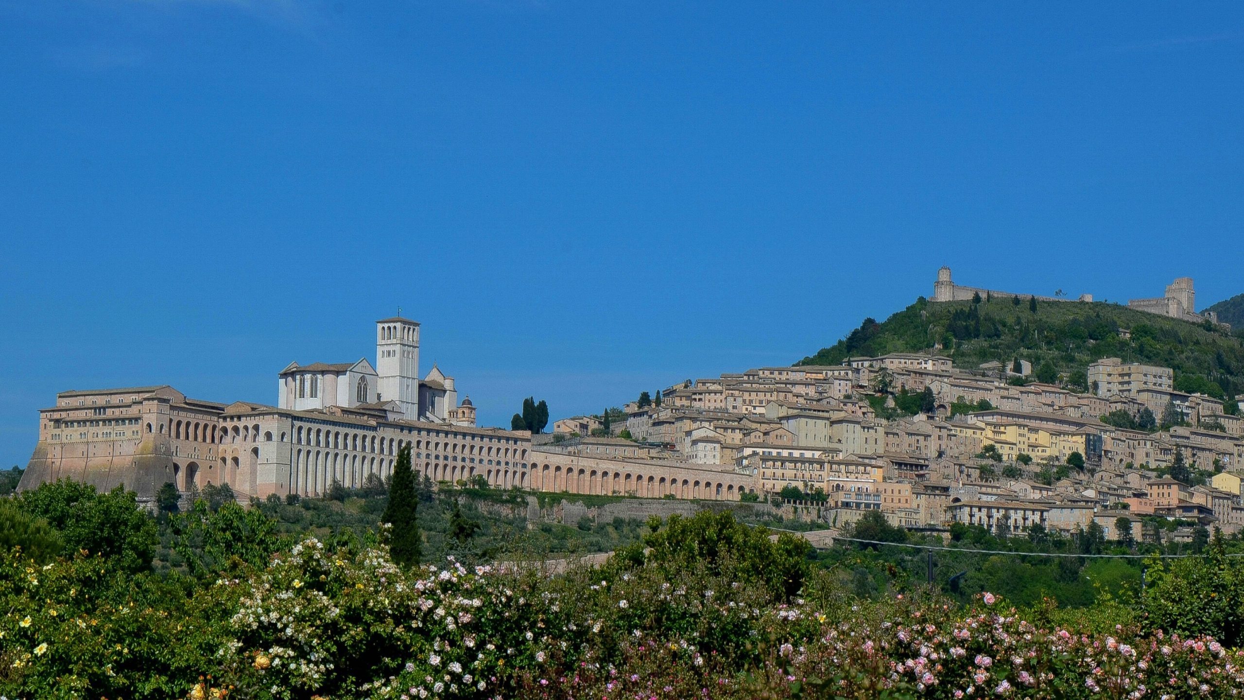 Assisi Scaled