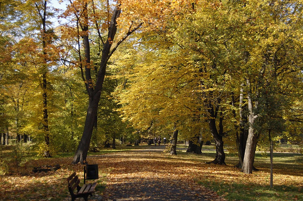Szczytnicki Park