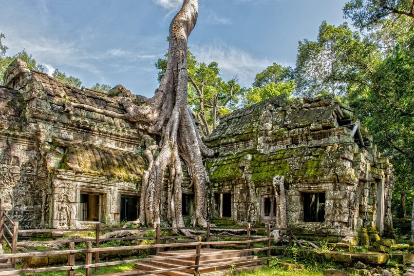 Ta Prohm Tomb Raider Temple
