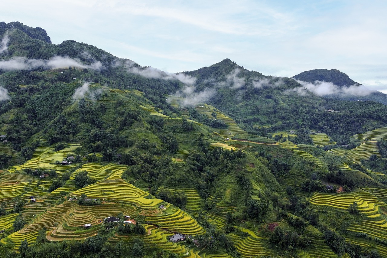 Hoang Su Phi Rice Terraces