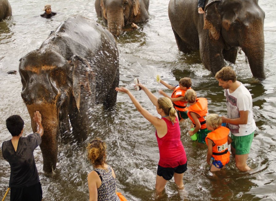 Kanchanaburi Elephant World