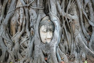 Self Guided Day Trip to Ayutthaya from Bangkok