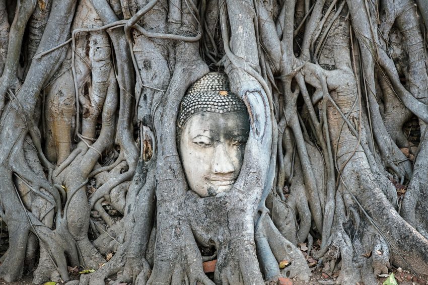 Self Guided Day Trip to Ayutthaya from Bangkok
