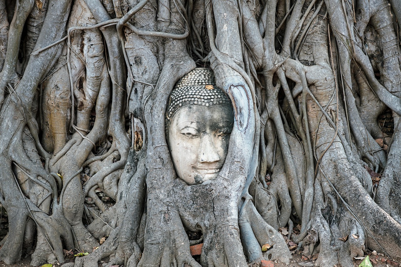 Self Guided Day Trip To Ayutthaya From Bangkok