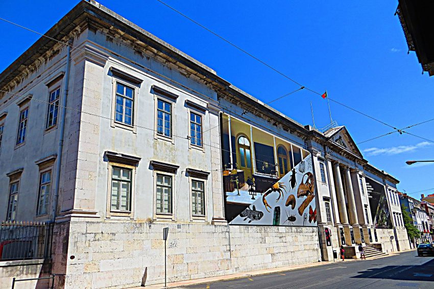Museu Nacional de Historia Natural e da Ciencia Lisboa