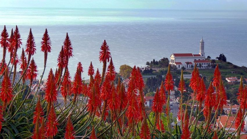 Where to Stay in Sao Martinho Funchal e1741006413154