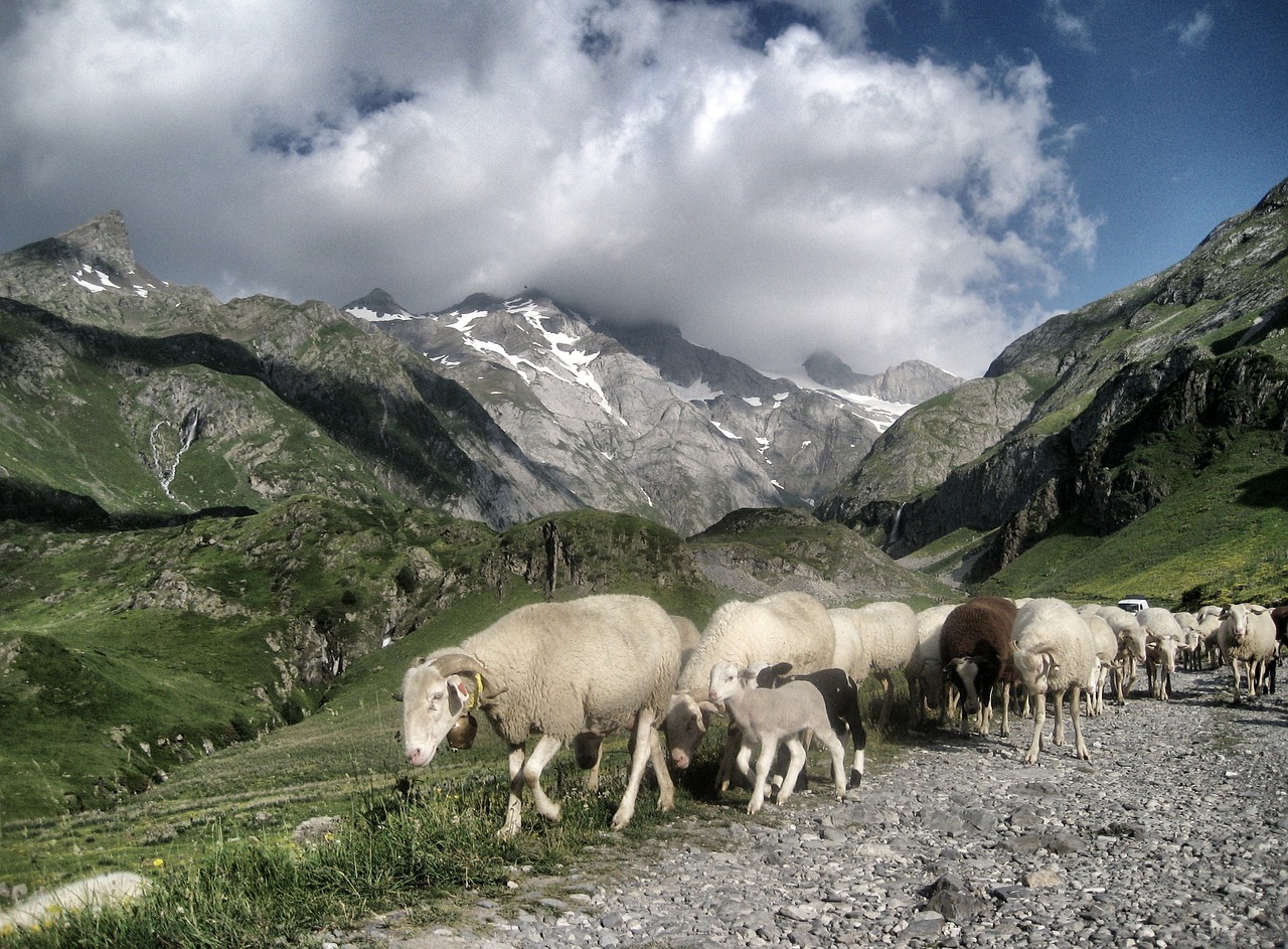 Pyrenees GR10