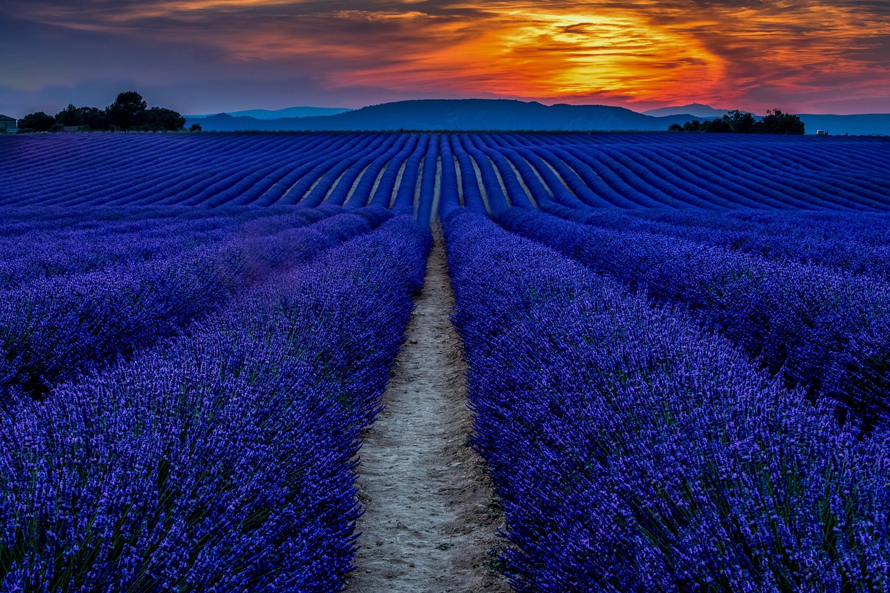 Sunset In Provence