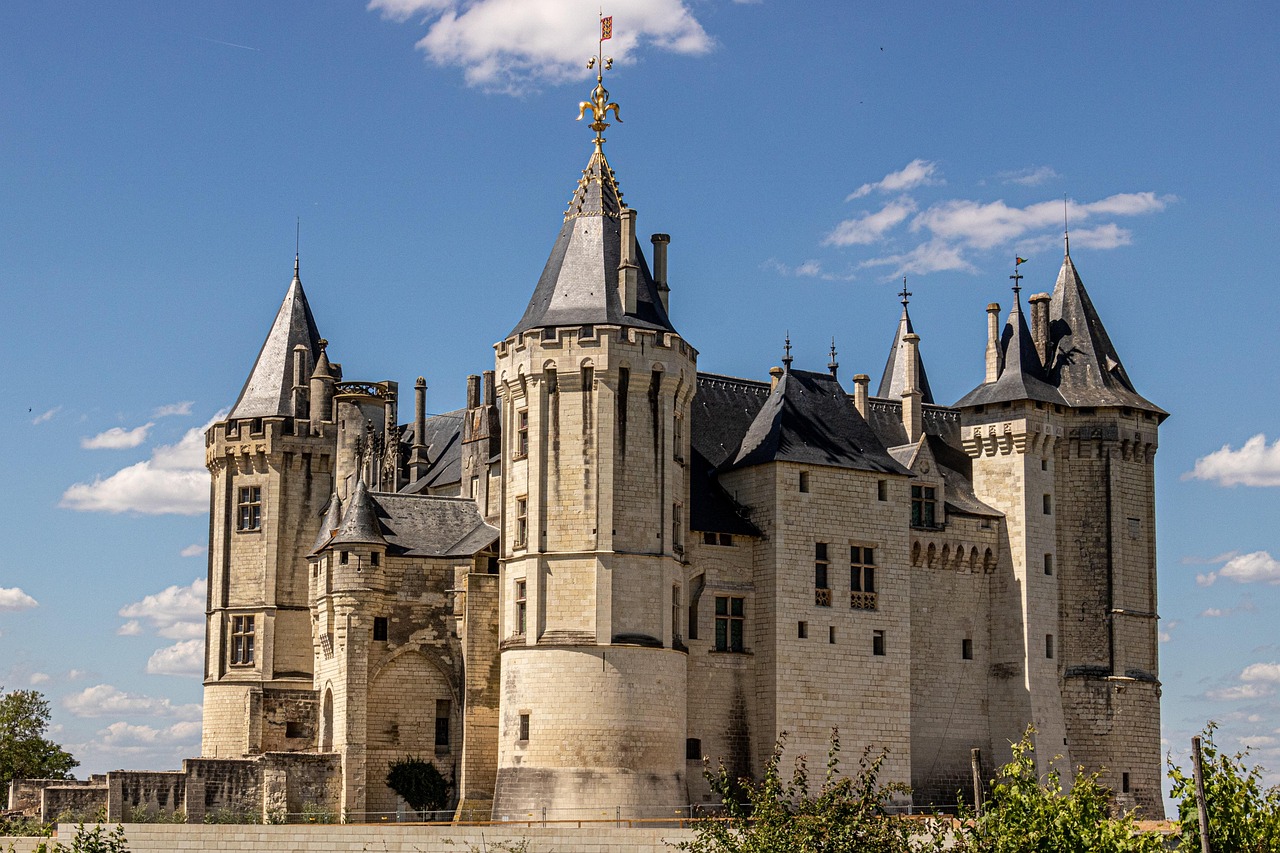 Château De Saumur