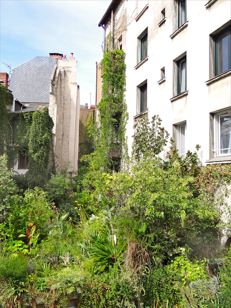 Jungle Intérieure