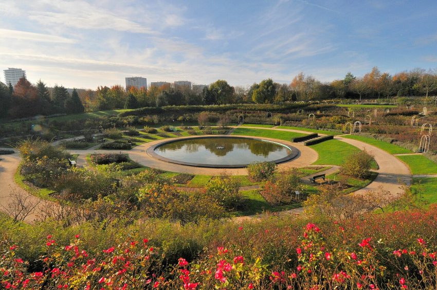 La colline aux oiseaux