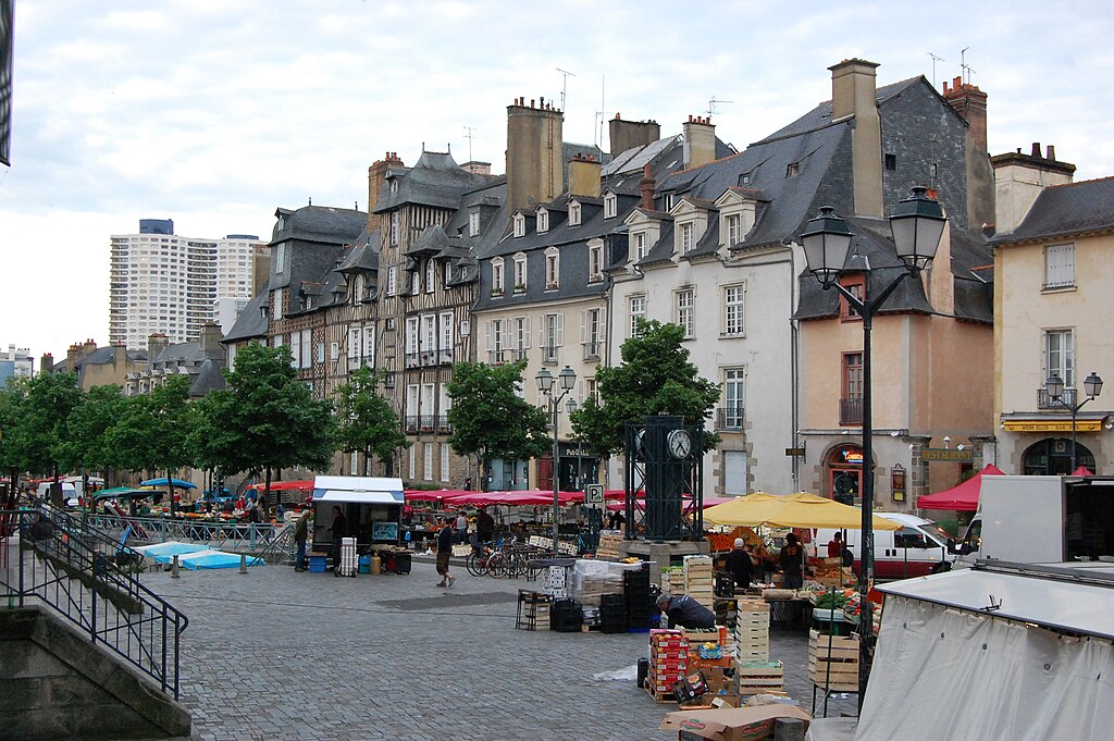 Marche Des Lices Mise En Place