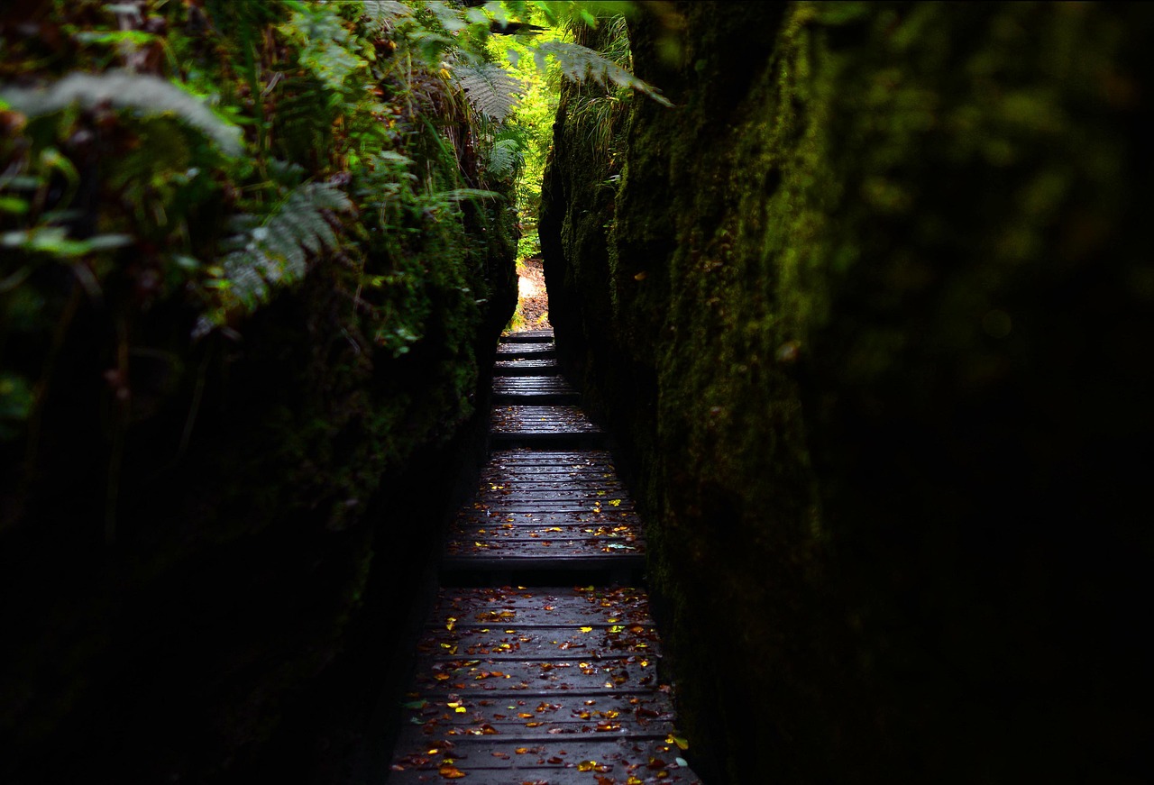Hiking Drachenschlucht