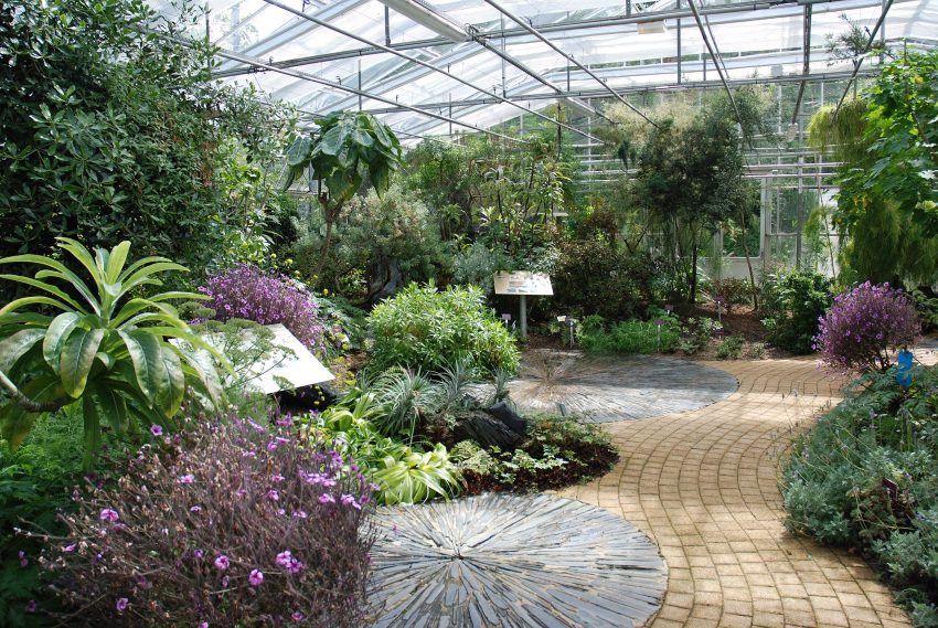 Interieur des serres tropicales CBN de Brest