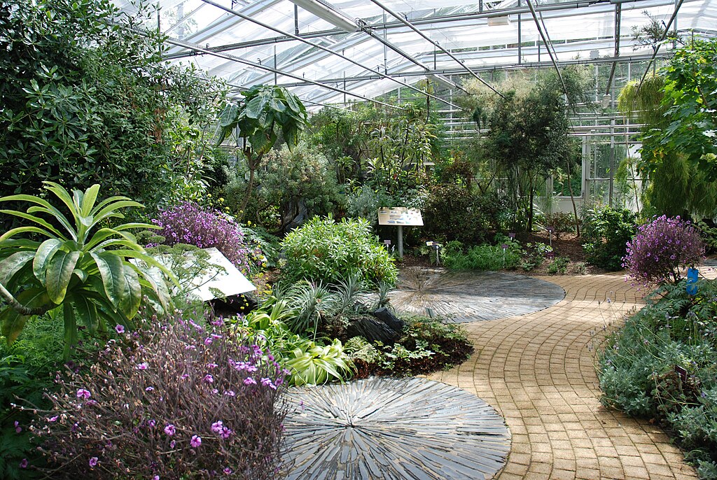 Interieur Des Serres Tropicales CBN De Brest