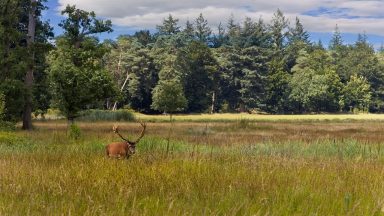 Hoge Veluwe National Park
