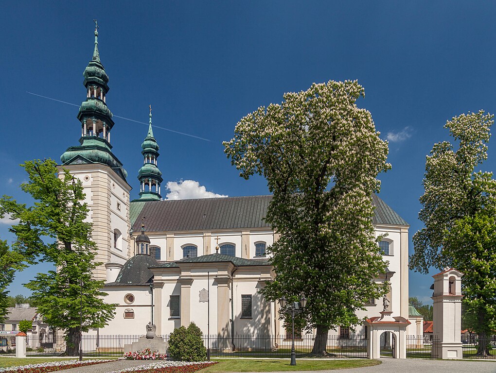 Katedra W Lowiczu