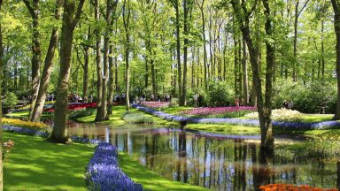 Keukenhof Gardens