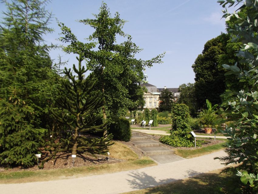 Botanical Garden Münster, behind the Castle