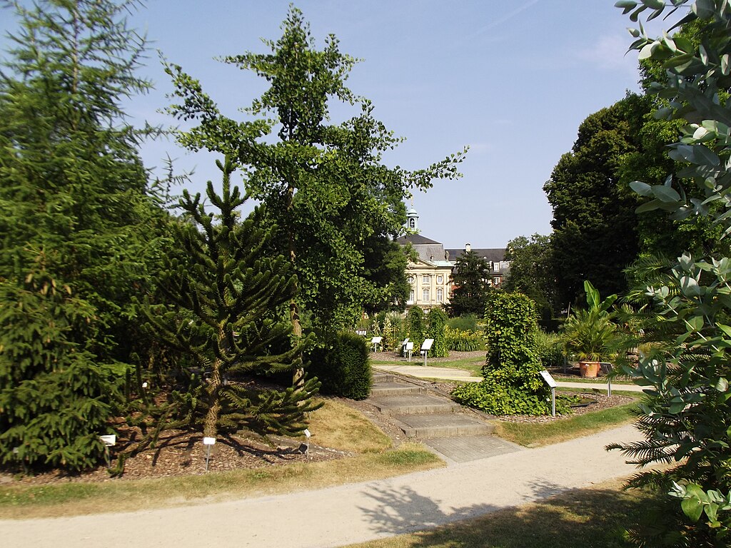 Botanical Garden Münster Behind The Castle