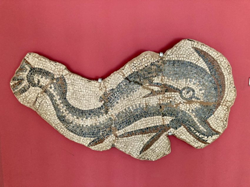 Ancient dolphin mosaic, Izmir History and Art Museum
