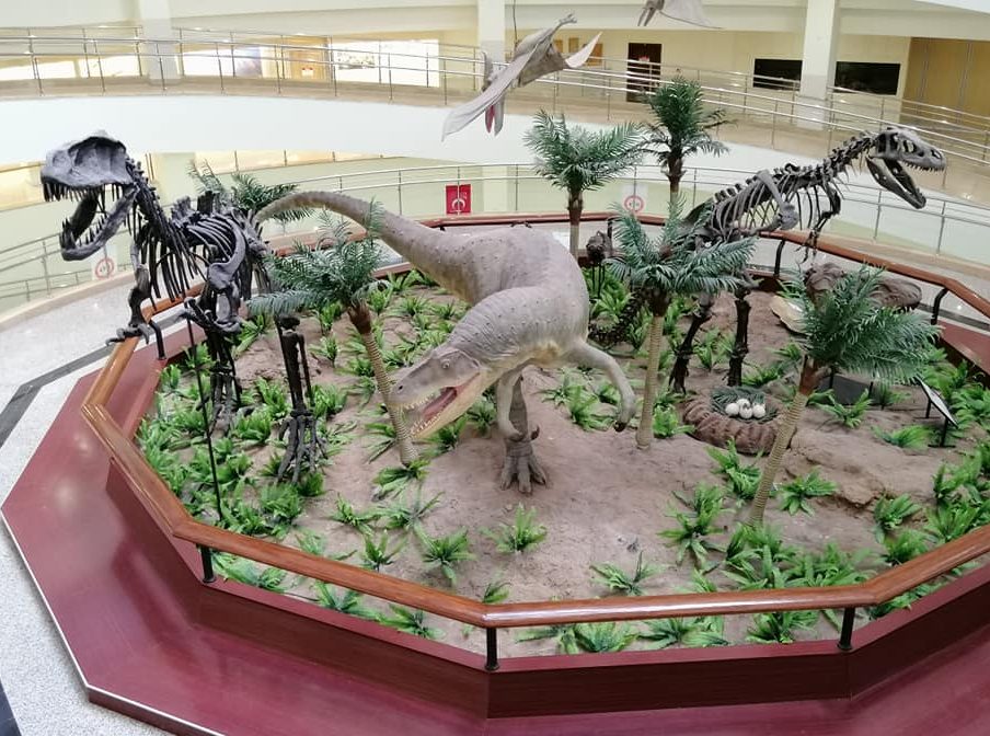 Ankara Natural Hisory Museum