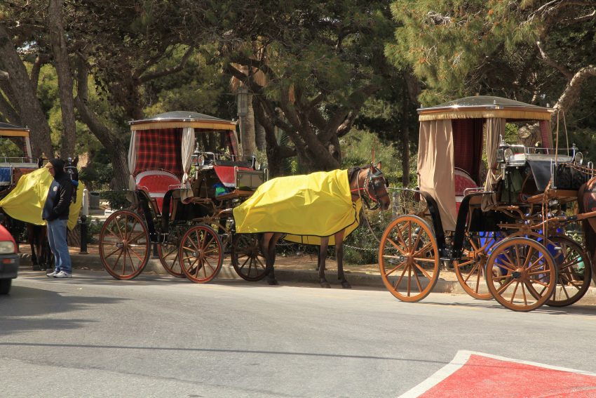 Malta Mdina Howard Gardens