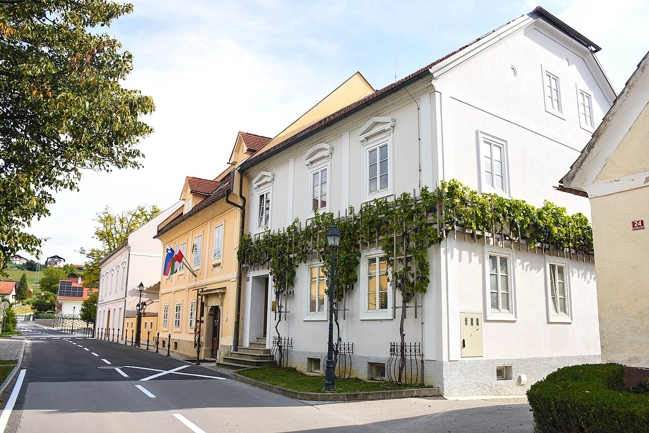 Old Vine Of Maribor
