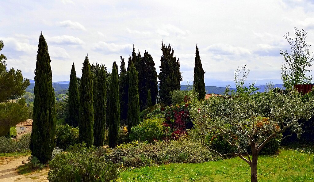 Terrain Des Peintres