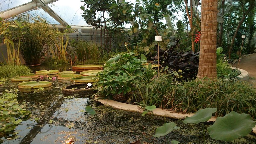 Aarhus Botanical Gardens, Aarhus