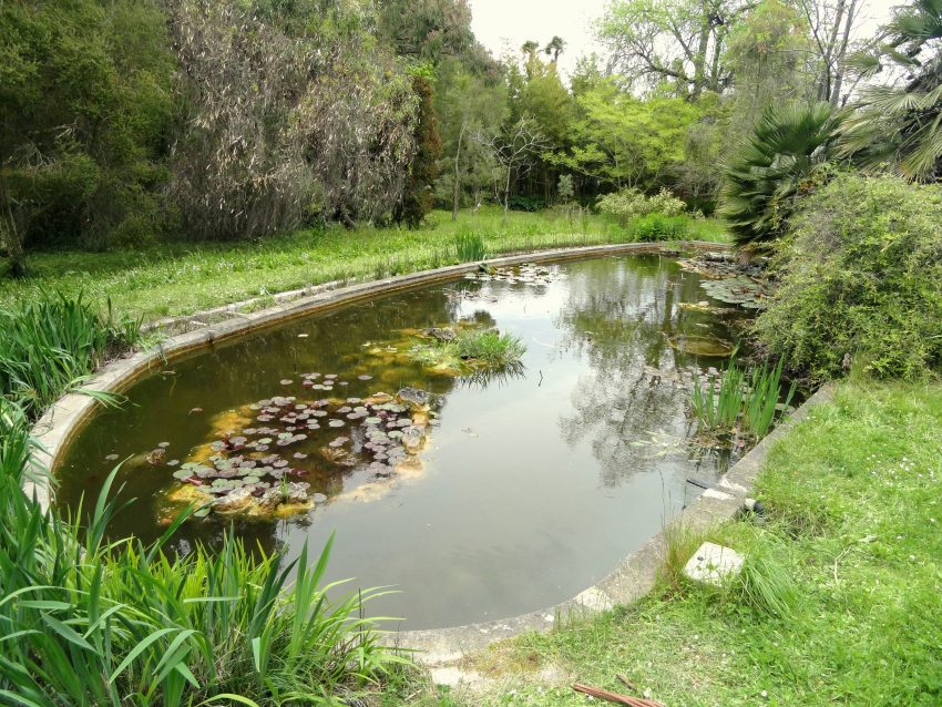 Botanical Garden of Villa Thuret