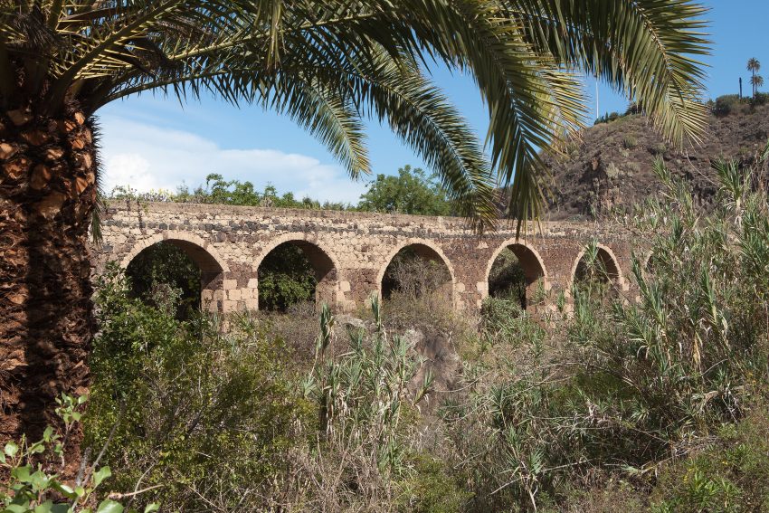 Jardin Botanico Canario Viera y Clavijo Gran Canaria