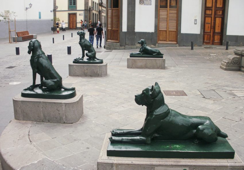 Las Palmas de Gran Canaria Las Palmas Spain