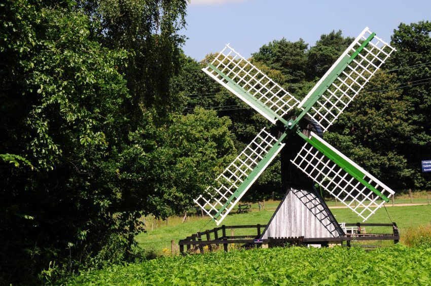 Spider Arnhem Arnhem