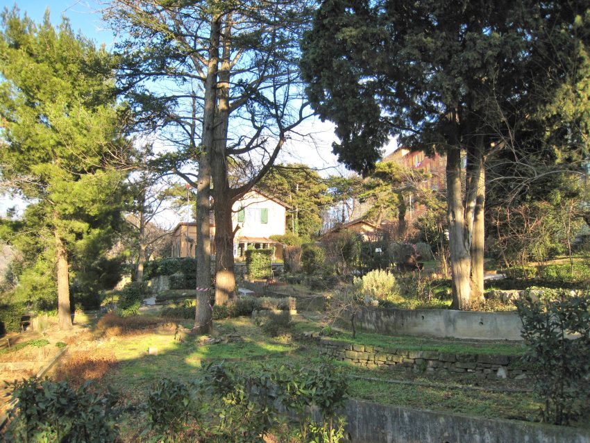 Civico Orto Botanico di Trieste