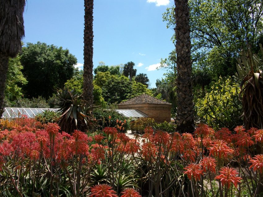Jardin Botanico