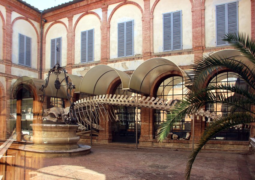 Museo di Storia Naturale