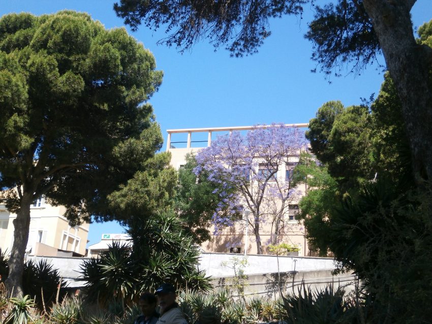 Orto Botanico di Cagliari