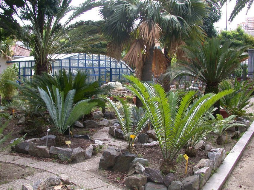Orto botanico Pietro Castelli