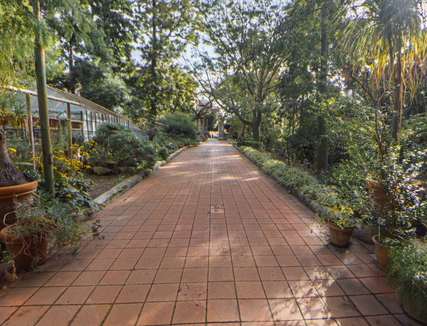 Palazzo Calapaj-d’Alcontres