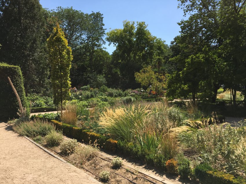 Real Jardin Botanico