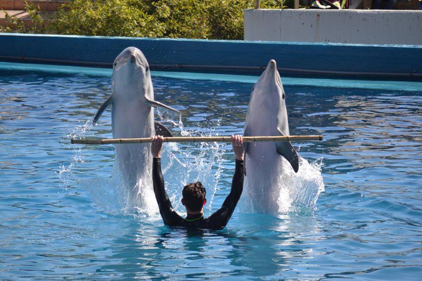 Zoo-Aquarium de Madrid