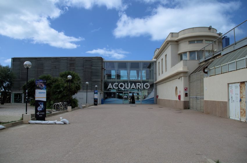 Acquario di Livorno
