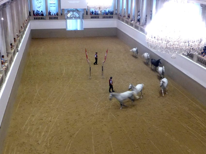 Spanische Reitschule