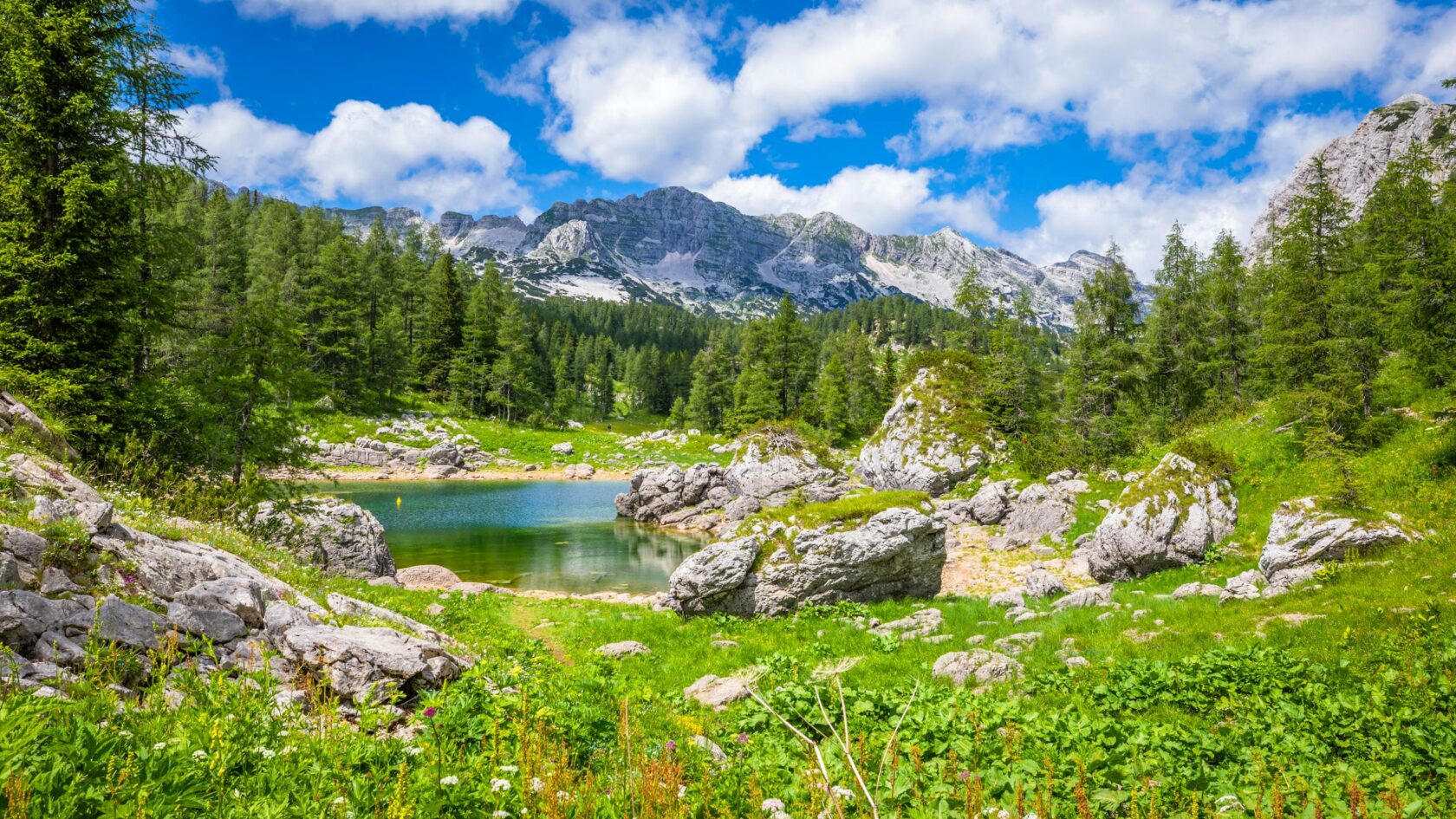 Triglav National Park Julian Alps 2026 Slovenia s Wild Heart Of triglav-national-park-julian-alps-2026-slovenia-s-wild-heart-of