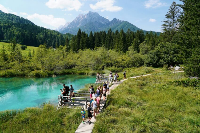 Zelenci Nature Reserve