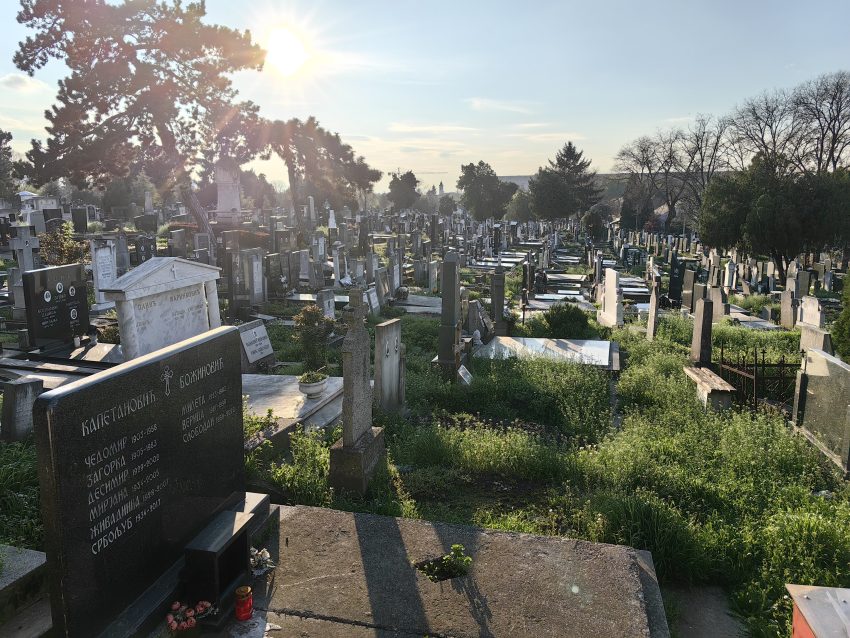 Zemun Cemetery
