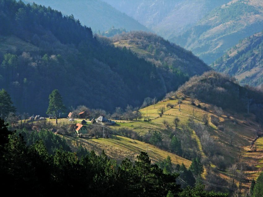 Zlatibor_Dobroselica_Landscape